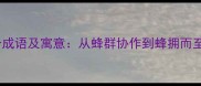 带蜂字的20个成语及寓意从蜂群协作到蜂拥而至的智慧启示