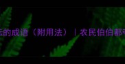 10个形容耕耘的成语附用法农民伯伯都夸的农谚智慧