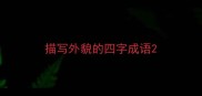 描写外貌的四字成语