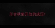 形容秋菊开放的成语