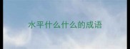 水平什么什么的成语