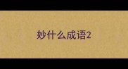 妙什么成语