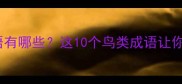 最后一只鸟的成语有哪些这10个鸟类成语让你秒变语文课代表