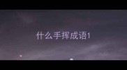 什么手挥成语