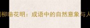 花好月圆柳暗花明成语中的自然意象与人生哲理
