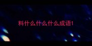 料什么什么什么成语