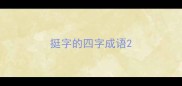挺字的四字成语