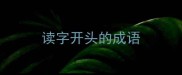 读字开头的成语
