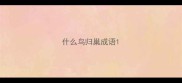 什么鸟归巢成语
