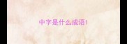 中字是什么成语