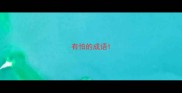 有怕的成语