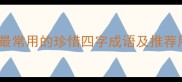10个最常用的珍惜四字成语及推荐用法