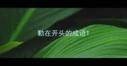 勤在开头的成语