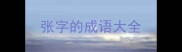张字的成语大全