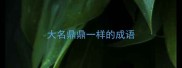 大名鼎鼎一样的成语
