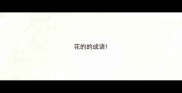 花的的成语