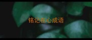 铭记在心成语