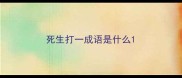 死生打一成语是什么