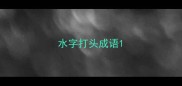 水字打头成语