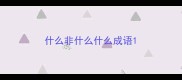 什么非什么什么成语