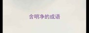 含明净的成语