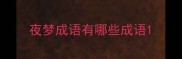 夜梦成语有哪些成语
