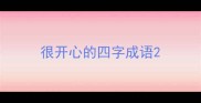 很开心的四字成语