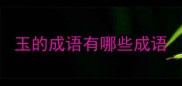 玉的成语有哪些成语