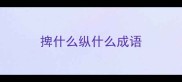 捭什么纵什么成语