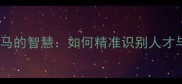 相马成语伯乐相马的智慧如何精准识别人才与团队管理策略