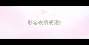形容表情成语