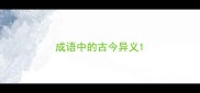 成语中的古今异义