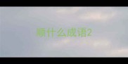 顺什么成语