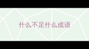 什么不足什么成语