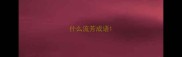 什么流芳成语