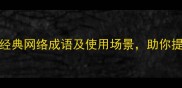 net成语大全50个经典网络成语及使用场景助你提升语言表达力