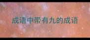 成语中带有九的成语