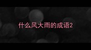 什么风大雨的成语