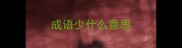 成语少什么意思