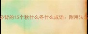 四季节气必背的15个秋什么冬什么成语附用法与诗词出处