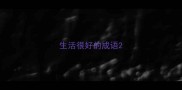 生活很好的成语