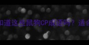 狗和老鼠成语全你知道这些鼠狗CP成语吗适合孩子学习的趣味故事