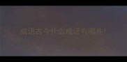 成语古今什么成语有哪些