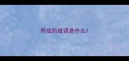 用成的成语是什么