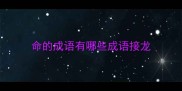 命的成语有哪些成语接龙