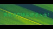 裏成语有哪些成语大全