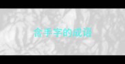 含手字的成语
