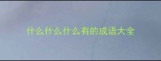 什么什么什么有的成语大全