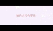 箱的成语有哪些