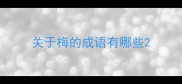 关于梅的成语有哪些